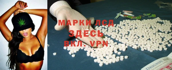 apvp Болотное
