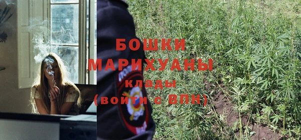 тгк Михайлов