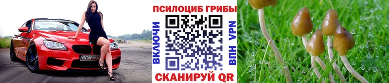 Галлюциногенные грибы ЛСД  где купить наркоту  hydra ссылки  Дорогобуж 